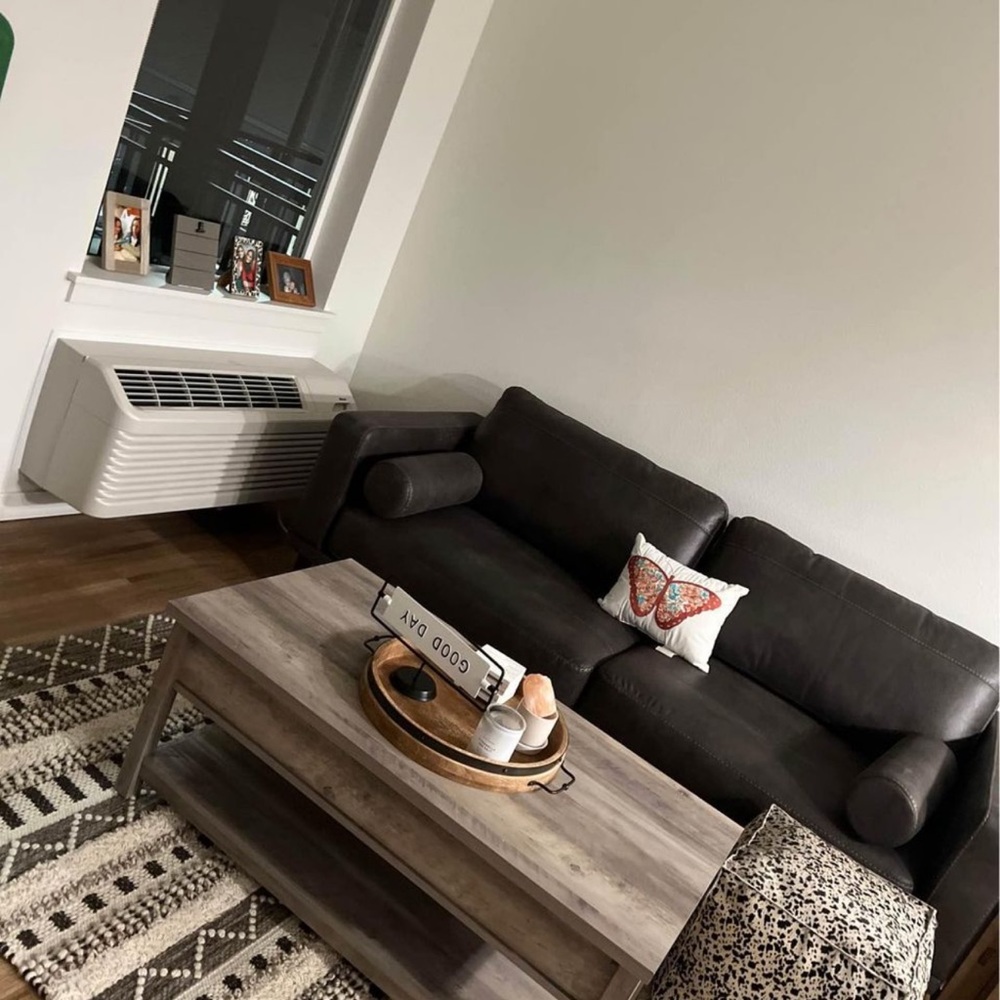 Brown couch (missing the little pillows)